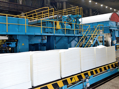 Pulp and Paper